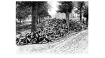 The Emergence of Joint Fires During World War I